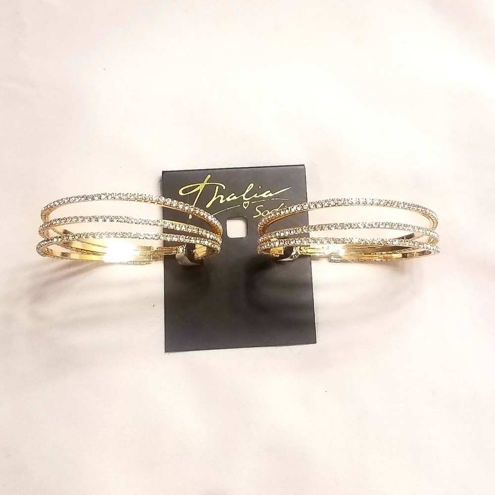 Sophisticated Hoop earrings
